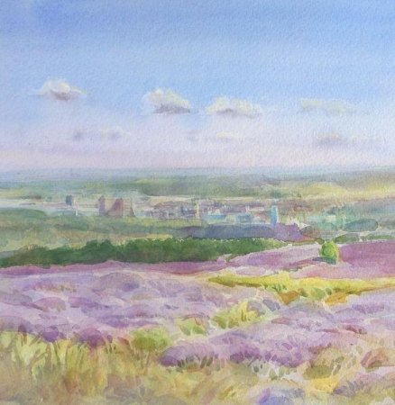 Picture of the Week: <p>The heather is in bloom and from Ringinglow one can see across the City to Lincoln Cathedral in the South East and Ferrybridge in the North. The scent was like standing in honey when painting this picture.</p>