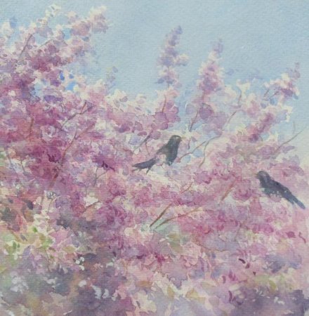 Picture of the Week: <p>Passing down Montgomery Road I passed some blackbirds clucking at each other in the Cherry Blossoms.</p>