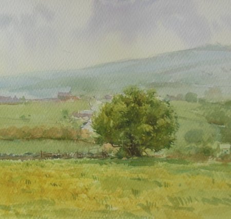 Picture of the Week: <p>Driving out from Stannington I passed this Hawthorn Tree in the mist, with a field of dandelions in the forground, by the time I had finished the painting the sun was out and the cerlews were warbling.</p><p>I am a guest artist for Open Studios in Sheffield at Manor Oaks Studios, S21UL on May 4/5/11/12, 11am to 5pm. This painting and others will be on display...come along and have a chat if you are in the area.</p>