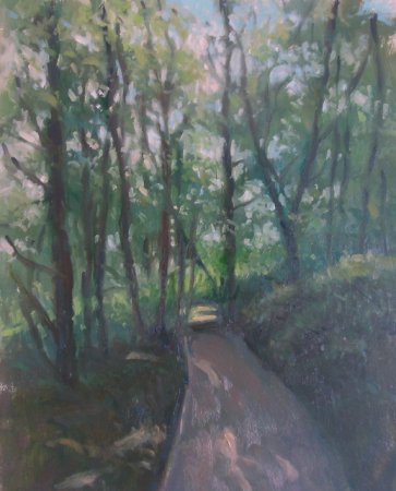 Picture of the Week: <p>A late evening stroll through the woods of Whirlow Park, donated to the City by J G Graves who was responsible for much of Sheffield?s green spaces as well as the central library building.</p>