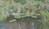 Picture of the Week: <p>A dragonfly hovers over the lily pads as I painted them this week at Whirlow Park. Later I had to run for cover during a cloud burst and returned to find the creature gone.</p>